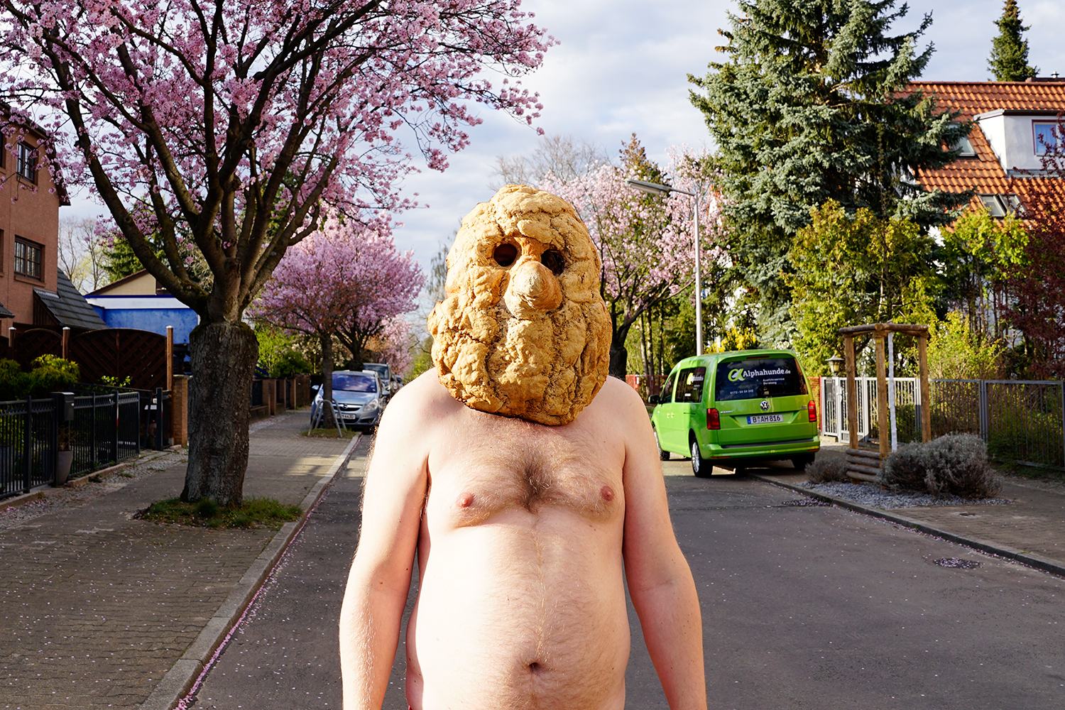 der homme moyen